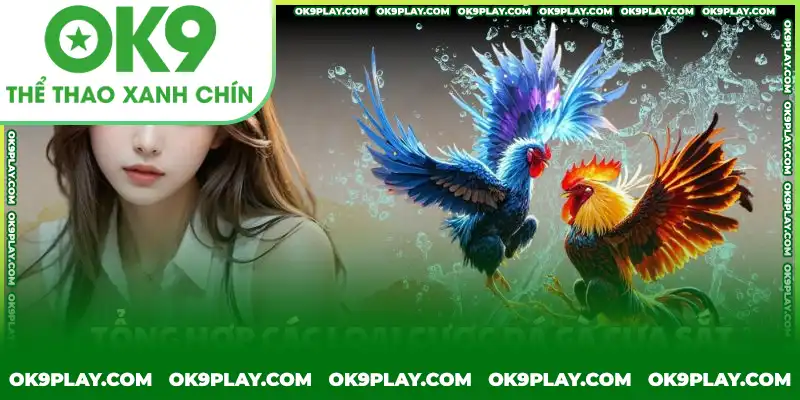 Có hai loại cược chính được giới thiệu đá gà cựa sắt