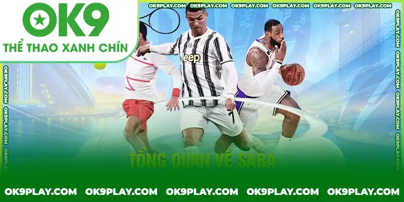 Tổng quan cơ bản về SABA THỂ THAO